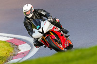 PJ-Motorsport-Photography-2020;anglesey;brands-hatch;cadwell-park;croft;donington-park;enduro-digital-images;event-digital-images;eventdigitalimages;mallory;no-limits;oulton-park;peter-wileman-photography;racing-digital-images;silverstone;snetterton;trackday-digital-images;trackday-photos;vmcc-banbury-run;welsh-2-day-enduro